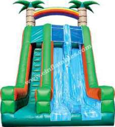 'Tropical Dual Lane Slide